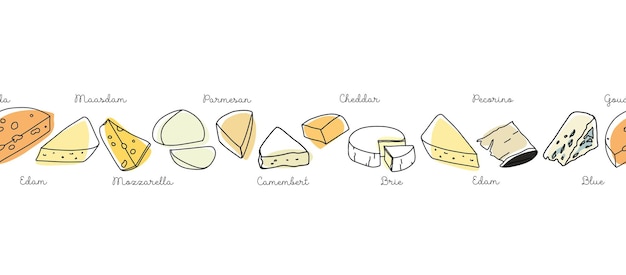 Vector seamless banner of different cheeses with names cheeses. vector set contours of dairy products