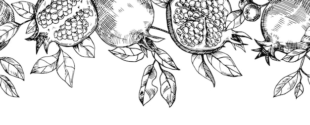 seamless border of fruits and pomegranate leaves vector pattern in sketch style