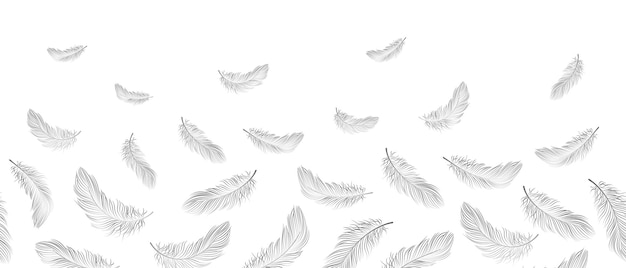 Seamless border white feathers fall into the air on a white background Background with copy space