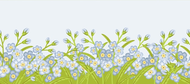 Seamless border with flowers forget me not