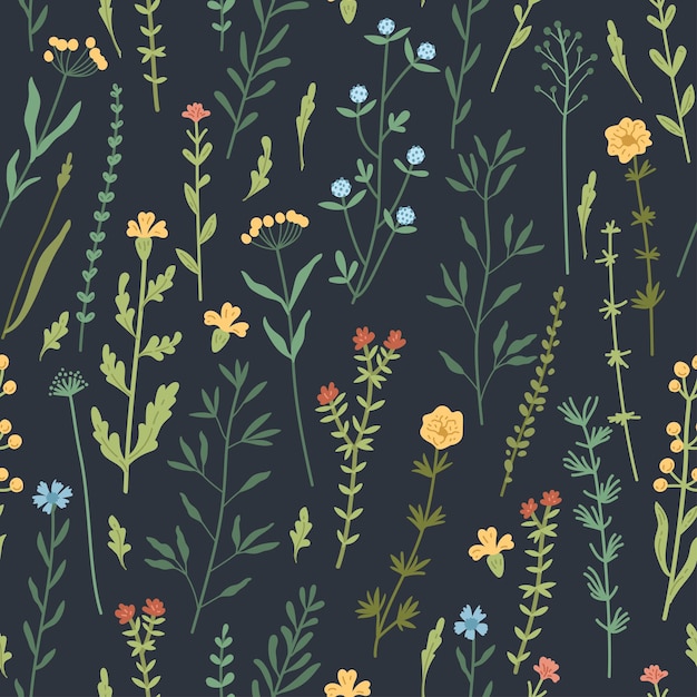 Seamless floral pattern with hand drawn plants leaves wild flowers