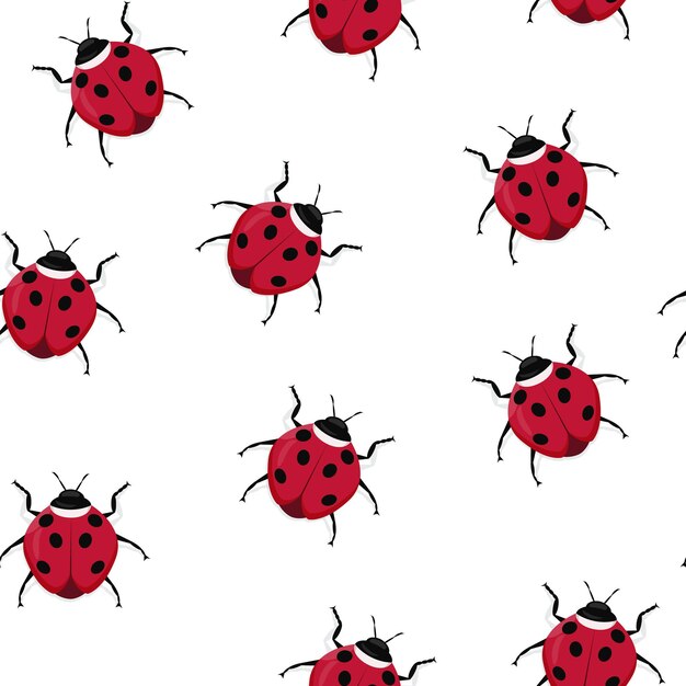 Seamless insect pattern of ladybug beetles