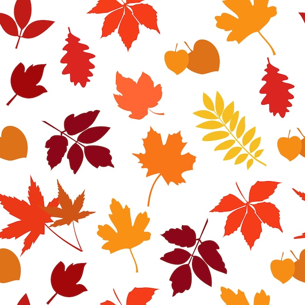 Seamless pattern autumn color leaves background. set