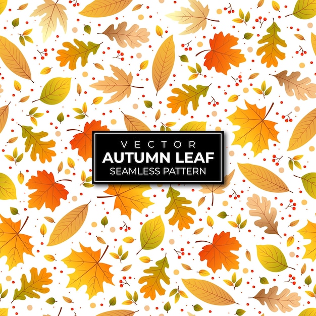 Seamless pattern autumn leaves on white background