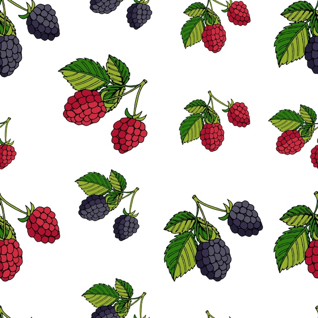 Seamless pattern blackberries and raspberries