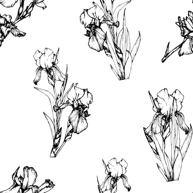 Seamless pattern botanical line flower Iris illustration Hand drawn irises graphics monochrome