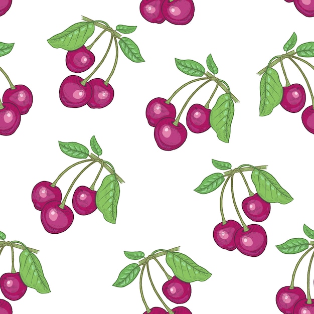  seamless pattern. Branches with leaves and cherries on a white background. Illustration for  packaging, paper, wallpaper, fabrics, textiles.