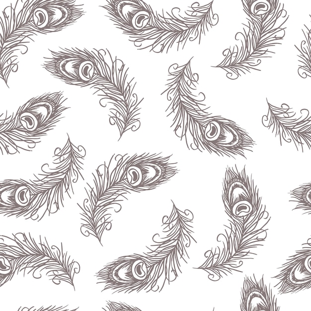 Seamless pattern, brown peacock feathers on a white background