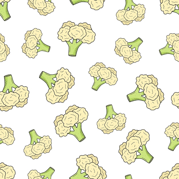 Seamless Pattern Cauliflower doodle vector drawing cabbage background