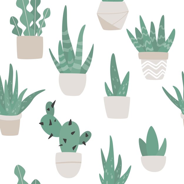 Seamless pattern of cute aloe vera actus and succulent plants growing in pots aloe in pots