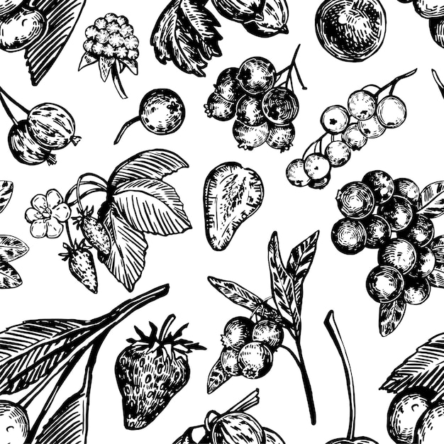 Seamless pattern of different berries Summer fruit berry ornament Hand drawn vector illustration Retro engraving style design for decor wallpaper background