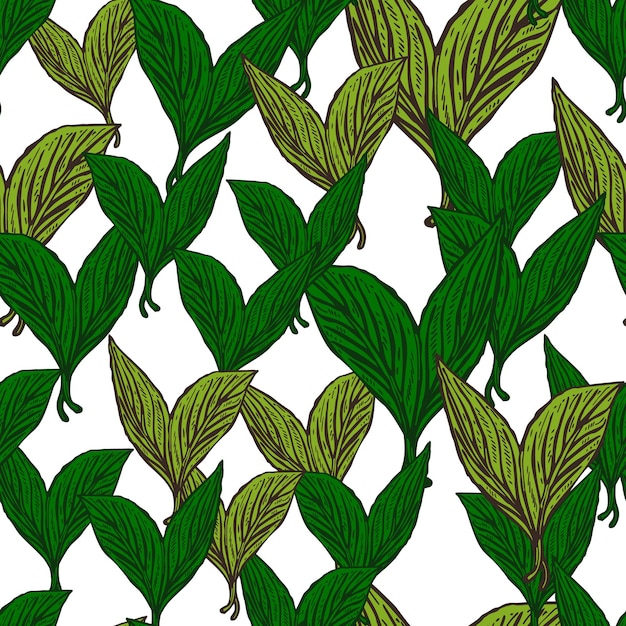 Seamless pattern engraved leaves Vintage background of tea leaf in hand drawn style