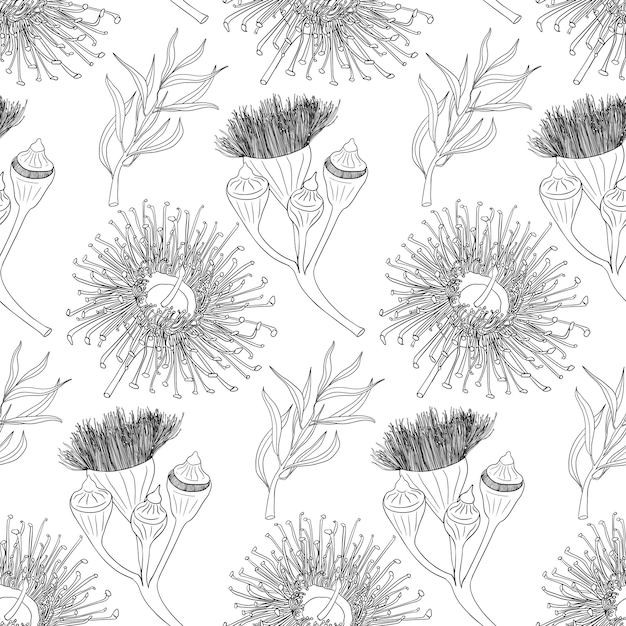 Seamless pattern of eucalyptus branches isolated on white background.