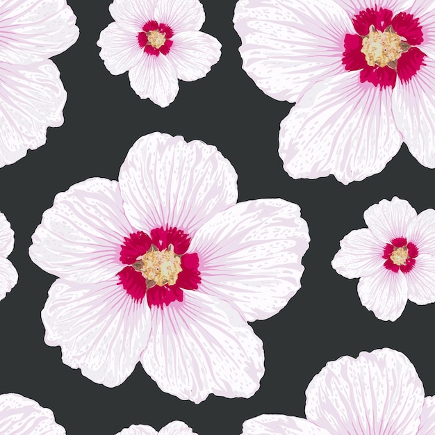 Seamless pattern floral with Hibiscus flowers on isolated background