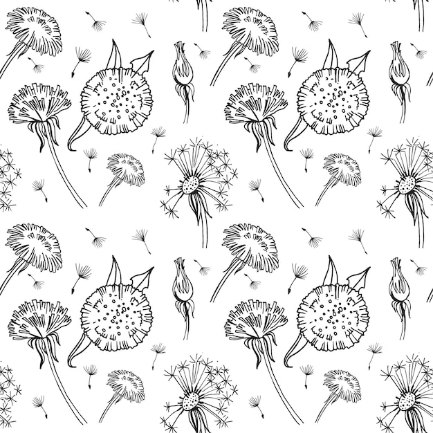 Seamless pattern hand draw black and white vector illustration dandelion plant leaves flowers seeds