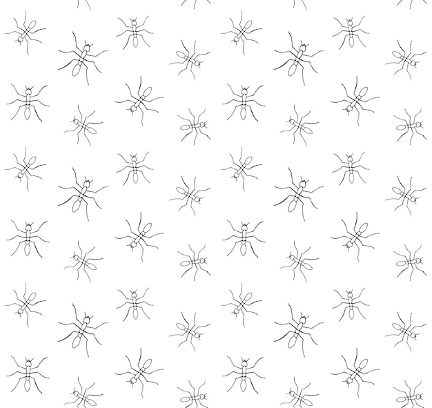 Seamless pattern of hand drawn ant