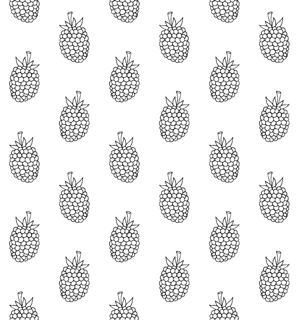 Seamless pattern of hand drawn blackberry