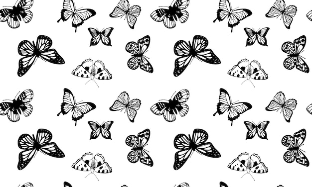 Seamless pattern of hand drawn butterflies on a white background