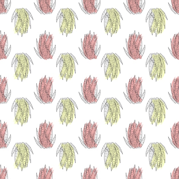 Seamless pattern of hand drawn doodle cacti Line art succulents Hand drawn cute cactuses with color for cardsposters fabric