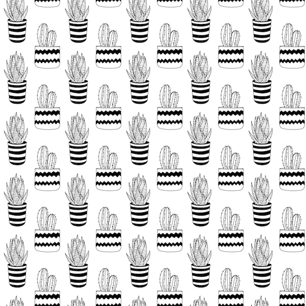 Seamless pattern of hand drawn doodle succulents in pots Line art cacti Hand drawn cute cactuses for cardsposters fabric