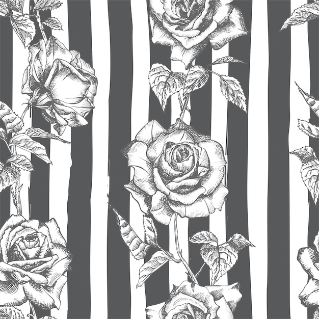 Seamless pattern Hand drawn sketch roses Detailed vintage botanical illuatration Floral frame Black silhouette isollated on white background