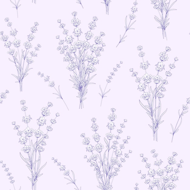 Seamless pattern of lavender flowers.