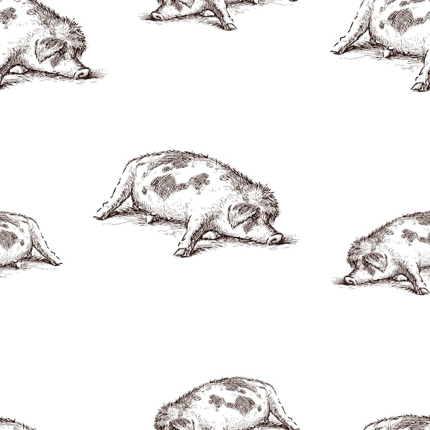 Seamless pattern of a lazy sleeping pig