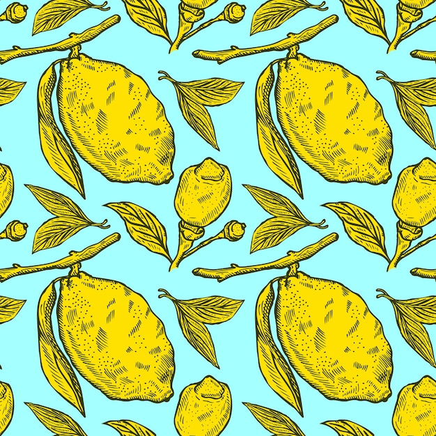 Seamless pattern lemons seamless pattern Vintage background with whole lemon sliced half leaf and seed in hand drawn style Citrus design texture for print fabric wrapping wallpaper tissue