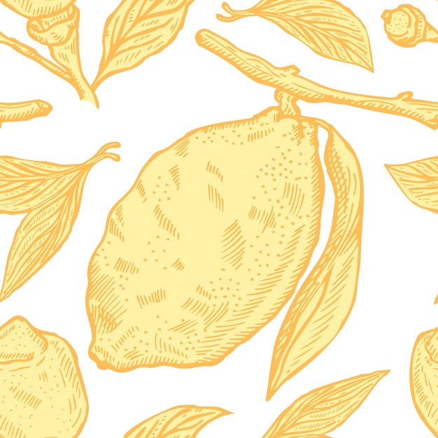 Seamless pattern lemons seamless pattern Vintage background with whole lemon sliced half leaf and seed in hand drawn style Citrus design texture for print fabric wrapping wallpaper tissue