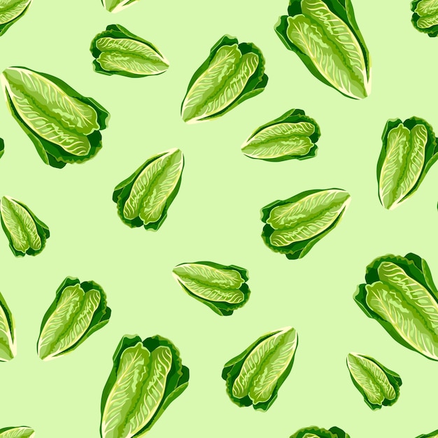 Vector seamless pattern lettuce romano on pastel green background. minimalism texture with salad.