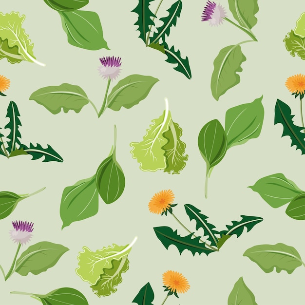 Seamless pattern on light green background with burdock leaves plantain dandelion and lettuce