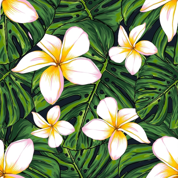 Seamless pattern monstera green leaf and frangipani flowers background