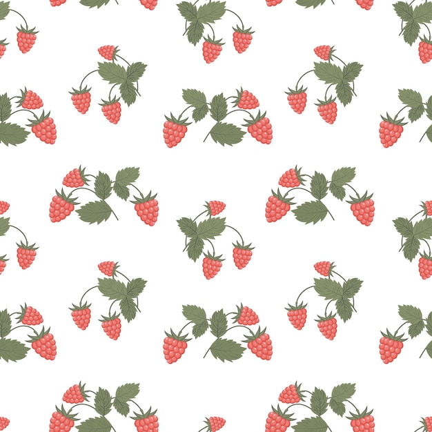 Seamless pattern raspberries with twigs and leaves on a white background Fruit background