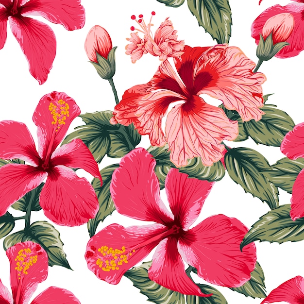 Seamless pattern red Hibiscus flowers on isolated white background.  hand drawing dry watercolor style.