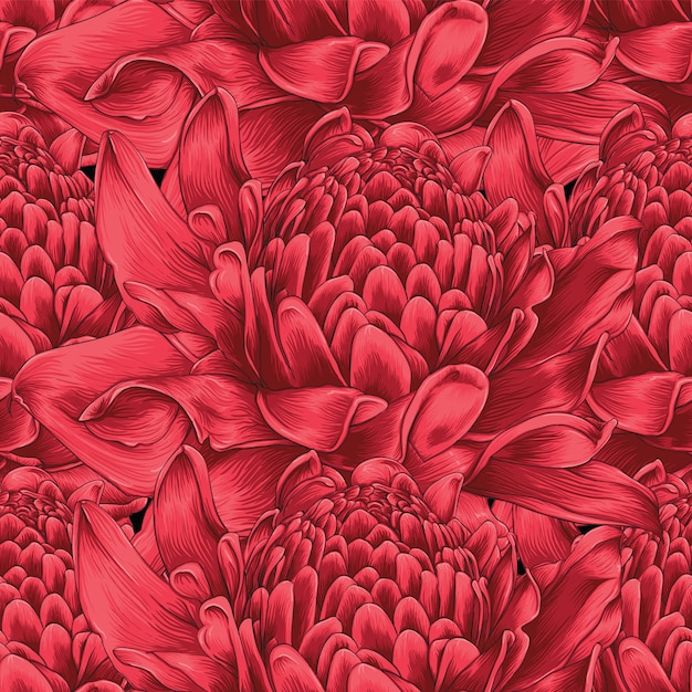 Seamless pattern red Torch ginger flowers