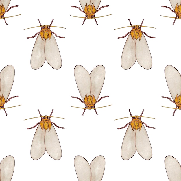 Vector seamless pattern repeating watercolor moth in boho shades on white background wrapping paper