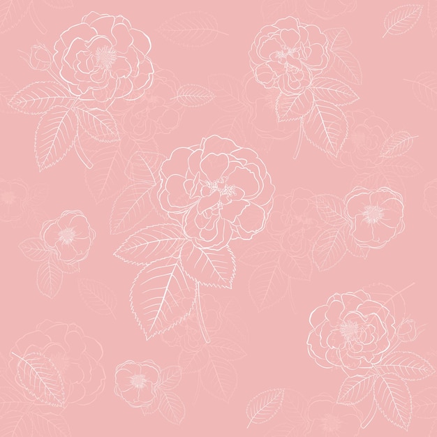 Seamless pattern of roses with leafs white on pink