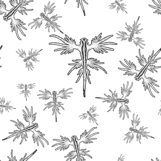 Seamless pattern Sea animal Glaucus atlanticus Sketch scratch board imitation Black and white