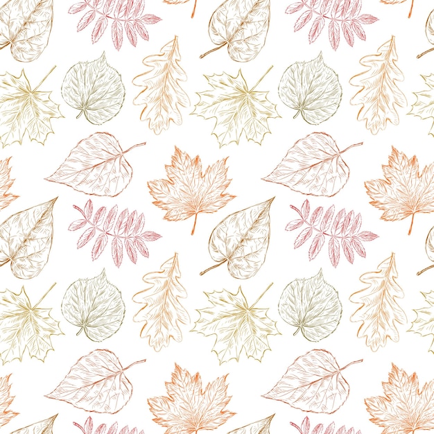 Seamless pattern of sketches fall leaves different trees