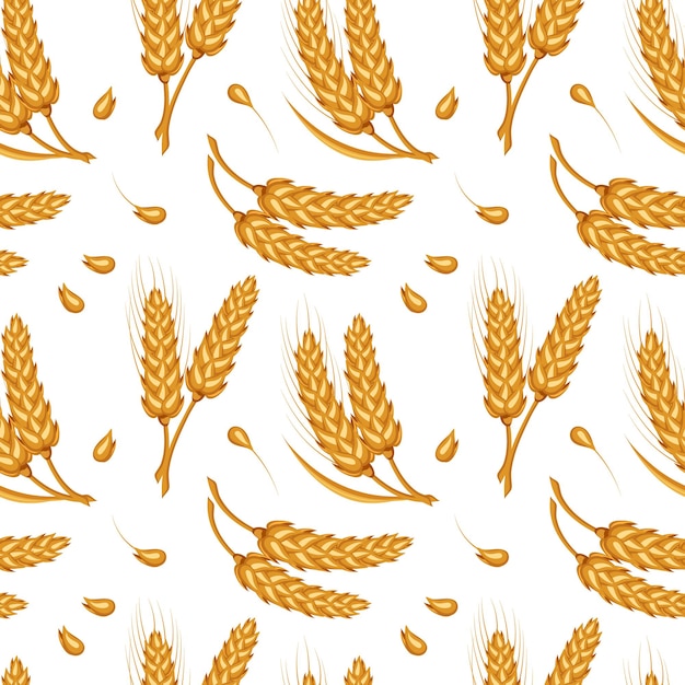 Seamless pattern of spikelets and rye seeds Grains of rye on a white background