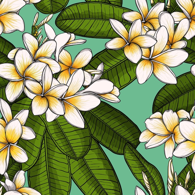 Seamless pattern tropical plumeria flowers , leaves, floral elements