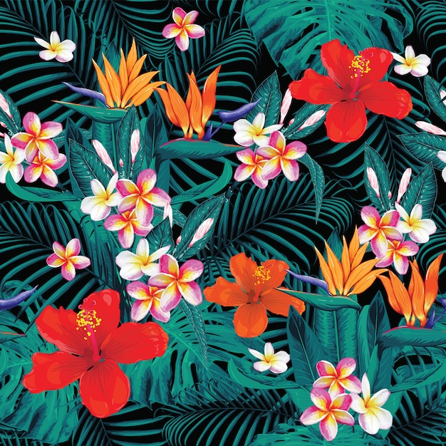 Seamless pattern tropical summer with Frangipani