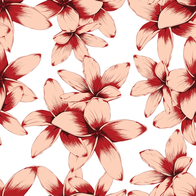 Seamless pattern vintage Frangipani flowers on white bacground