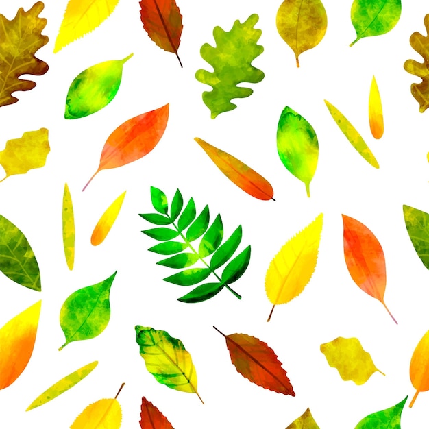 Seamless pattern watercolor colorful autumn leaves on white background