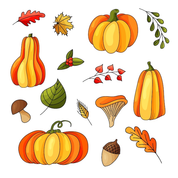 Seamless pattern with autumn elements Orange harvest Nature design for your background Vector