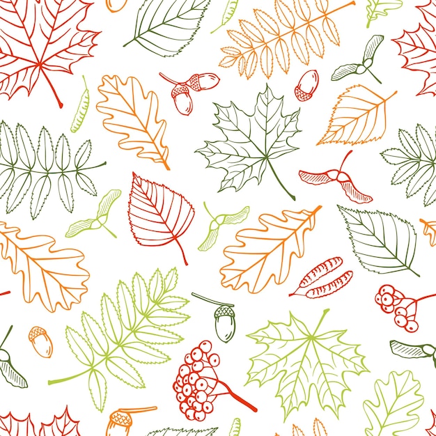 Seamless pattern with autumn leaves Hand drawn vector illustration