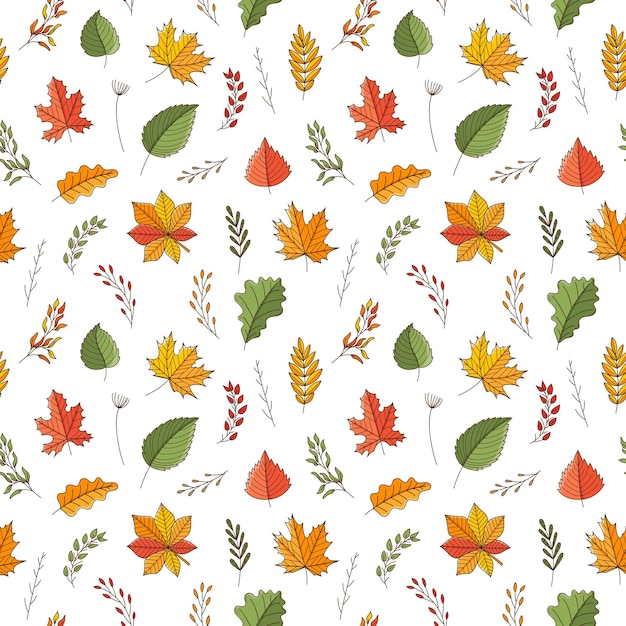 Seamless pattern with autumn leaves and twigs Maple oak chestnut aspen birchBackdrop with colored doodle elements Bright colorful vector pattern isolated on a white background