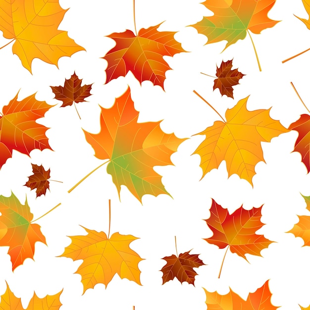 Seamless pattern with autumn maple leaves