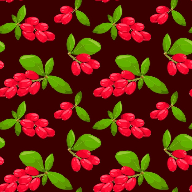 Vector seamless pattern with barberry twigs on a dark background