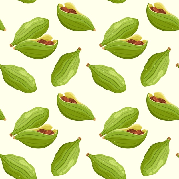 Seamless pattern with cardamom Spices